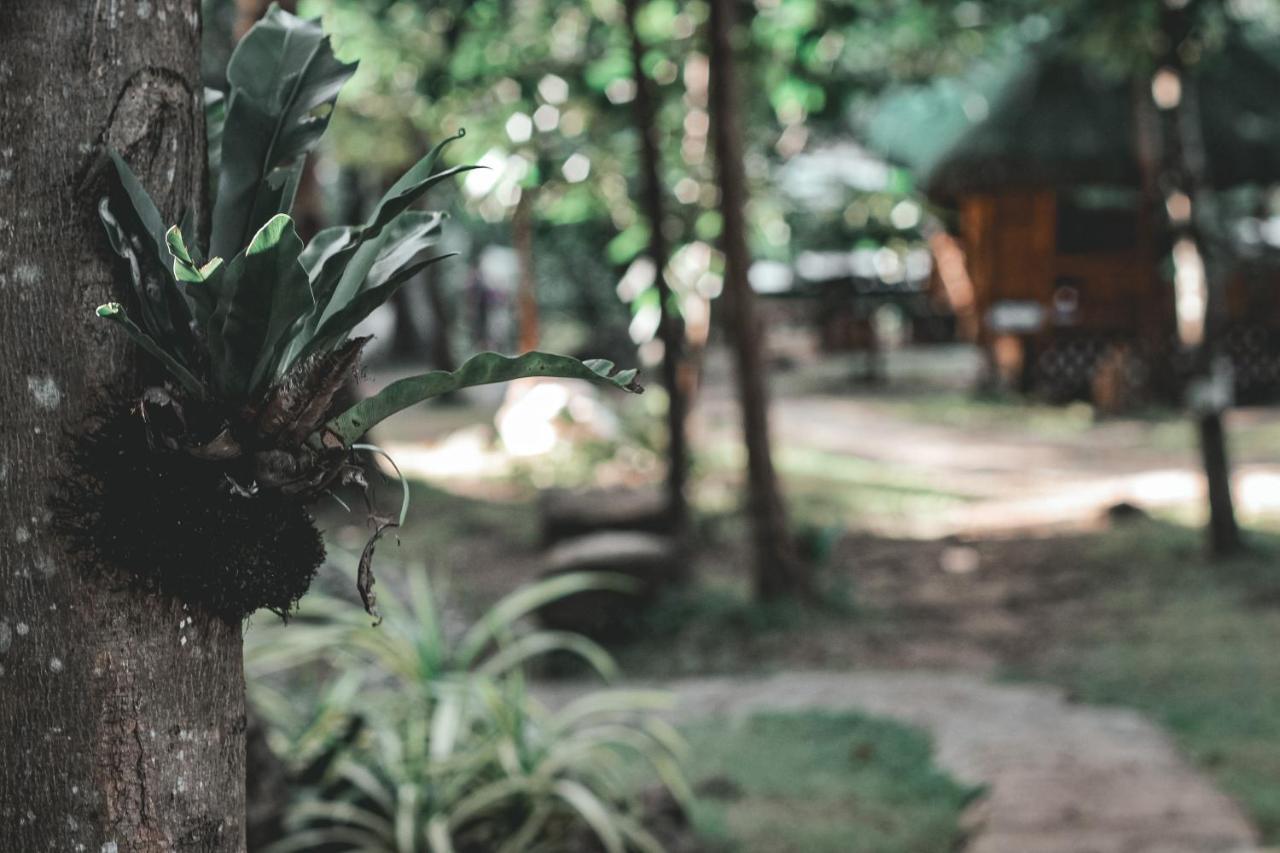 La Vie Adventure Trails Hotel Salabusob Exterior photo
